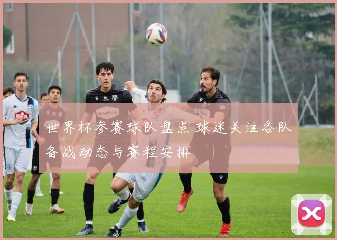 世界杯参赛球队盘点 球迷关注各队备战动态与赛程安排