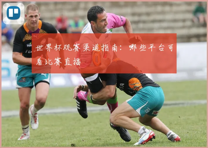 世界杯观赛渠道指南:哪些平台可看比赛直播