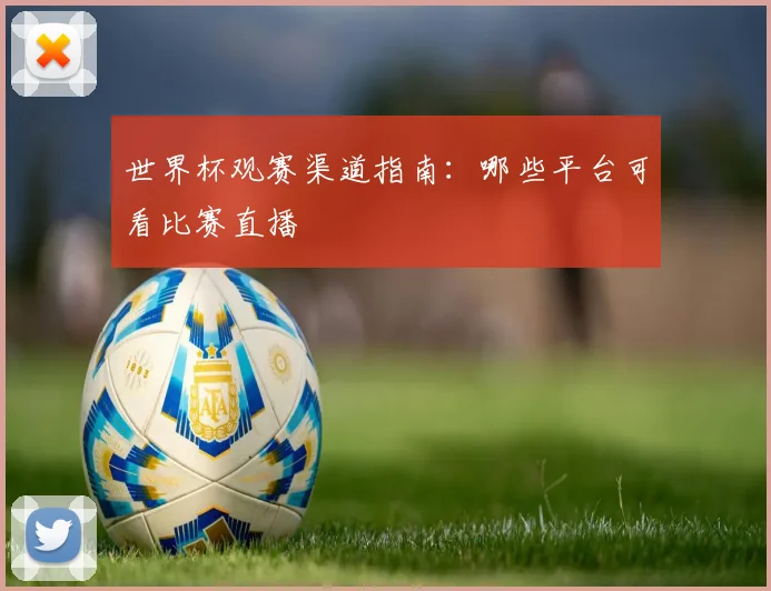 世界杯观赛渠道指南:哪些平台可看比赛直播