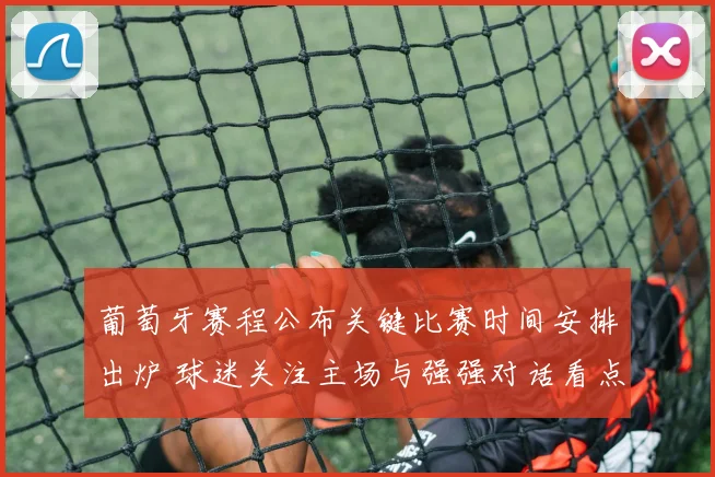 葡萄牙赛程公布关键比赛时间安排出炉 球迷关注主场与强强对话看点