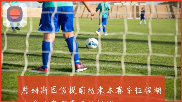 詹姆斯因伤提前结束本赛季征程湖人季后赛前景面临挑战