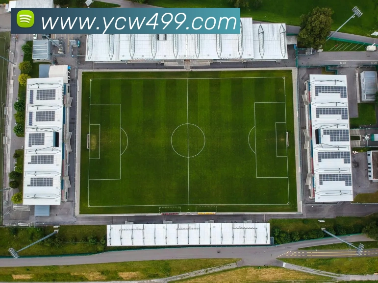 世界杯官方网络平台品牌故事