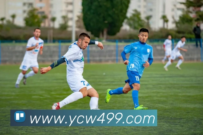 世界杯官方网络平台服务体系