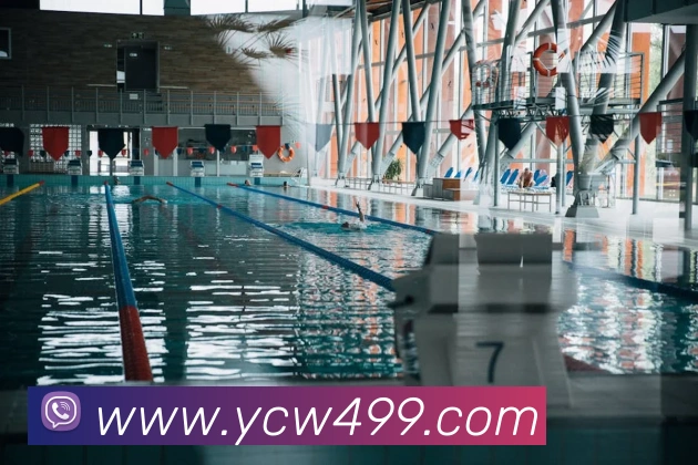 多媒体互动体验