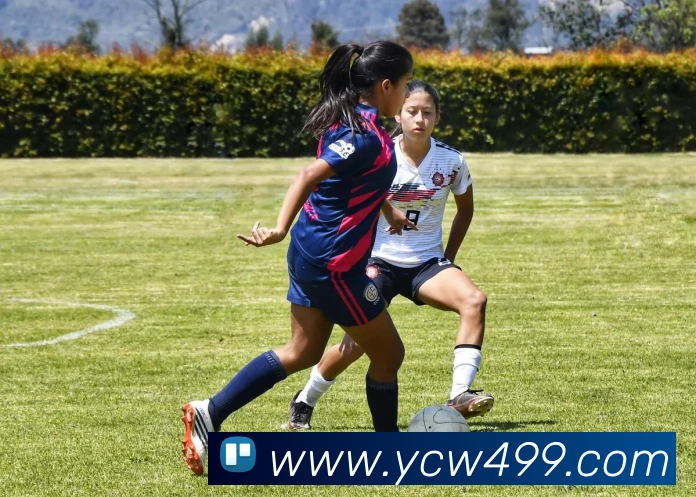 世界杯官方网络平台APP 体育赛事宣传图